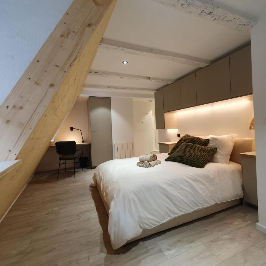 Les Appartements Hyper Centre Straßburg Exterior foto