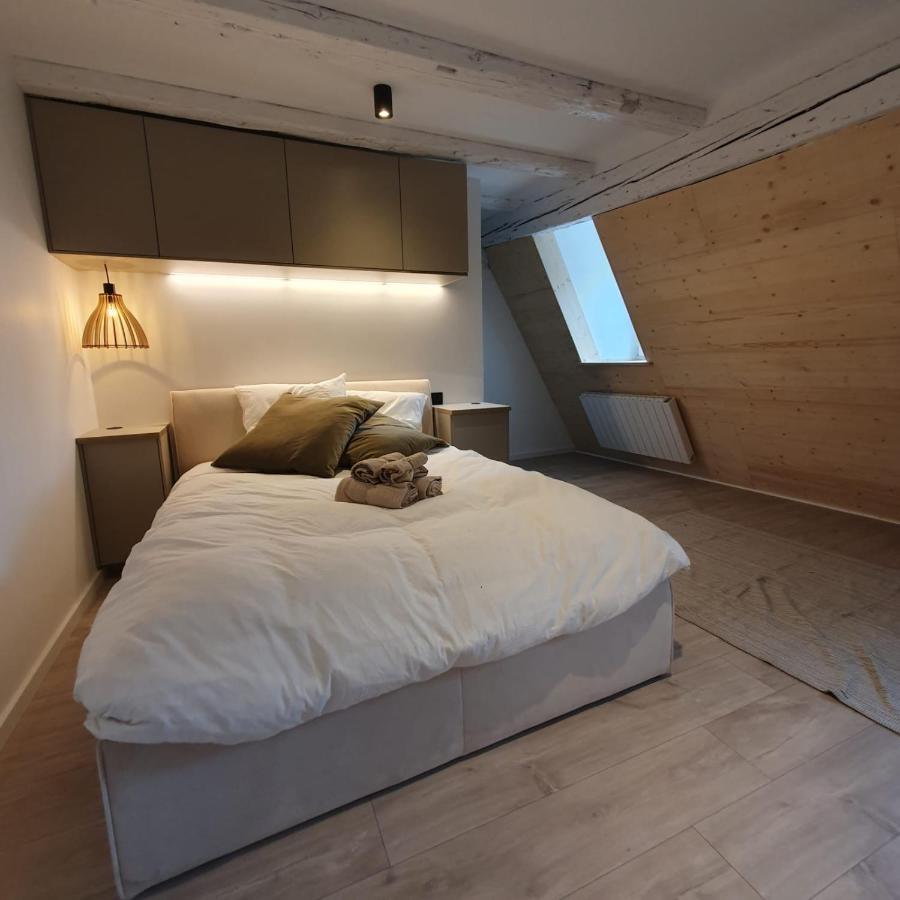 Les Appartements Hyper Centre Straßburg Exterior foto